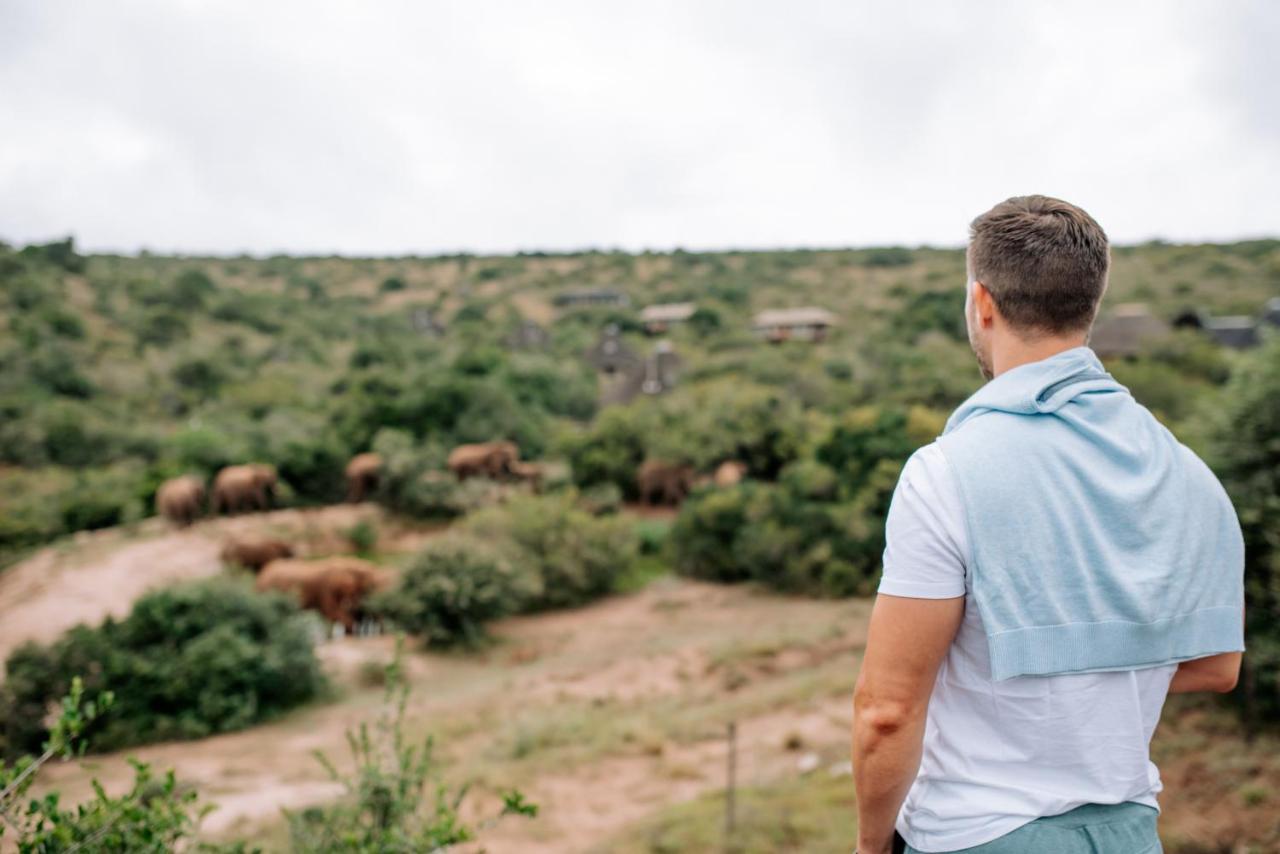 Bukela Game Lodge - Amakhala Game Reserve Eksteriør billede
