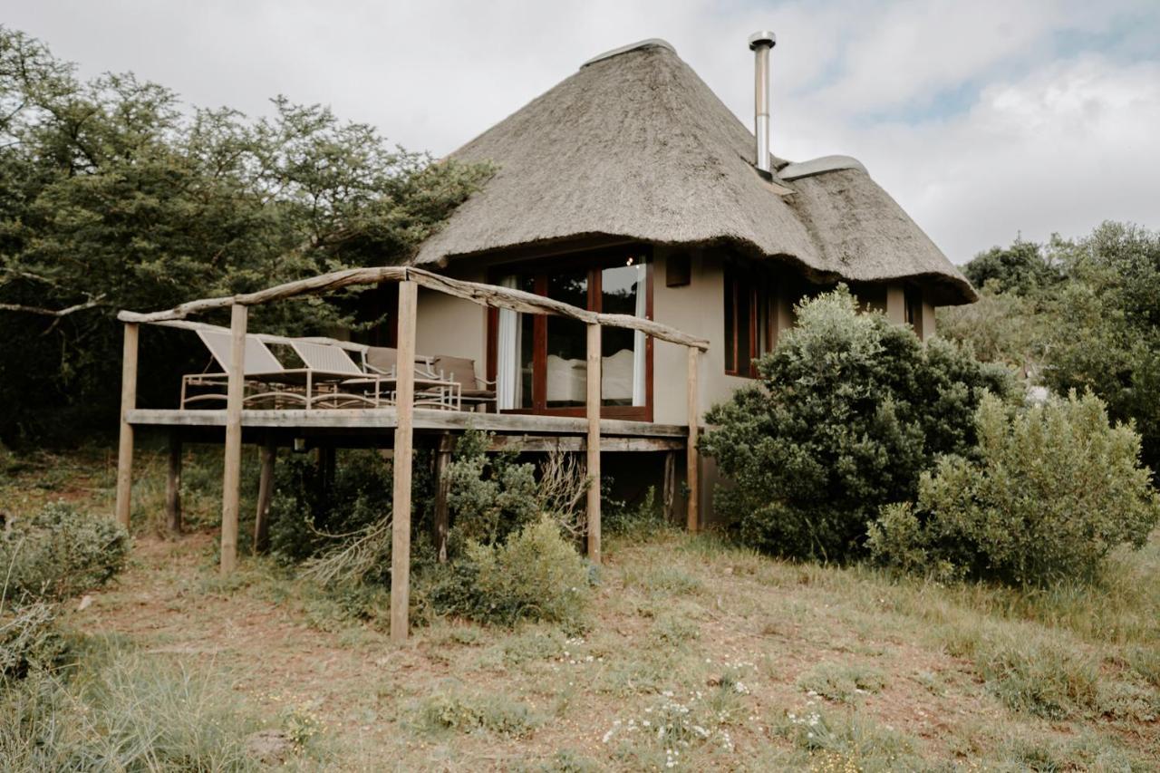 Bukela Game Lodge - Amakhala Game Reserve Eksteriør billede