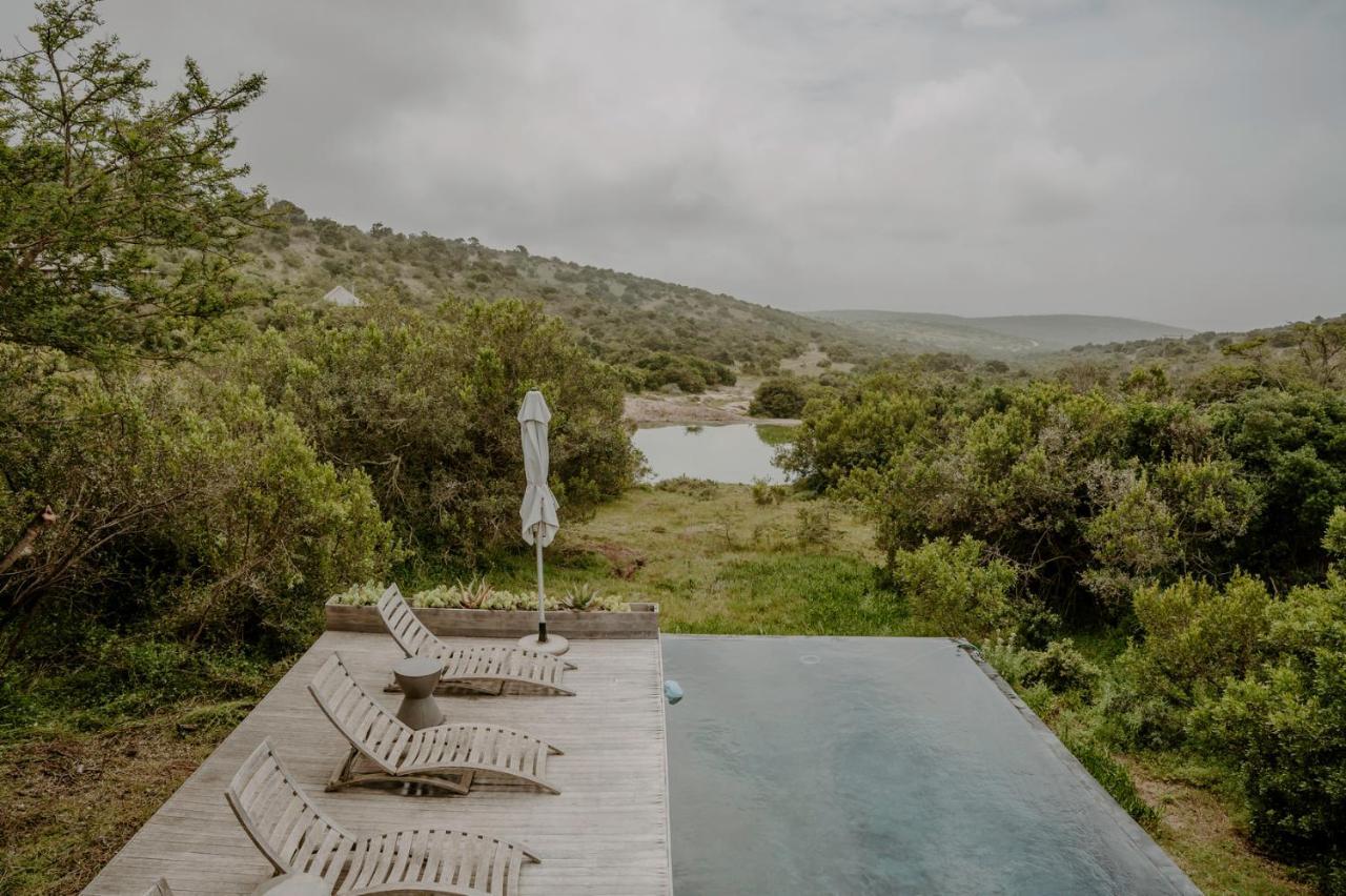 Bukela Game Lodge - Amakhala Game Reserve Eksteriør billede