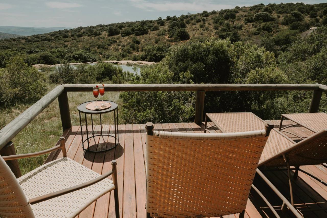 Bukela Game Lodge - Amakhala Game Reserve Eksteriør billede