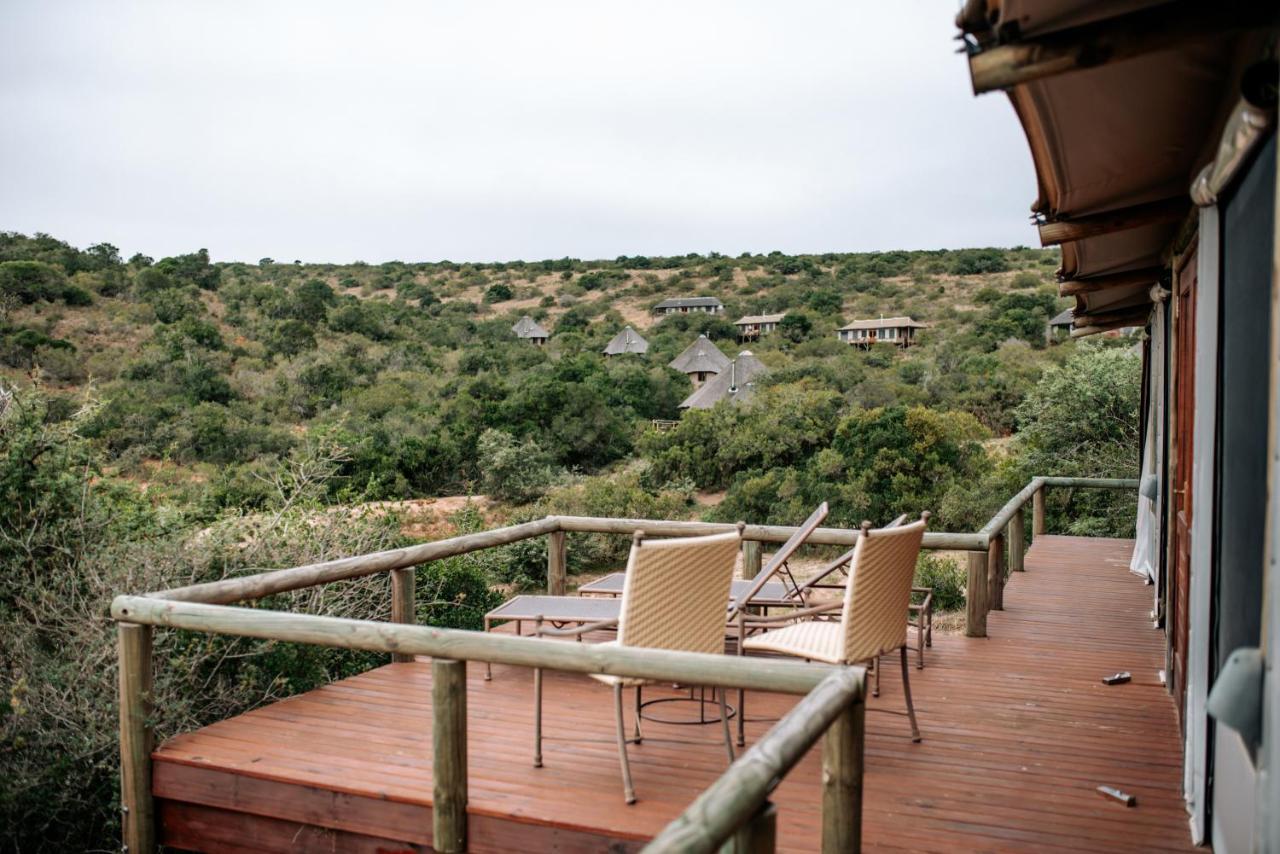 Bukela Game Lodge - Amakhala Game Reserve Eksteriør billede