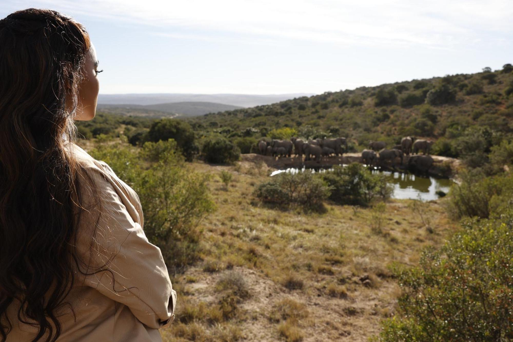 Bukela Game Lodge - Amakhala Game Reserve Eksteriør billede